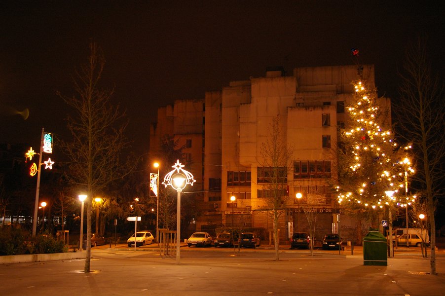 Illumination de noel: Place Jules Valles a Evry 035